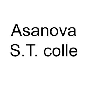 Asanova S.T. colle